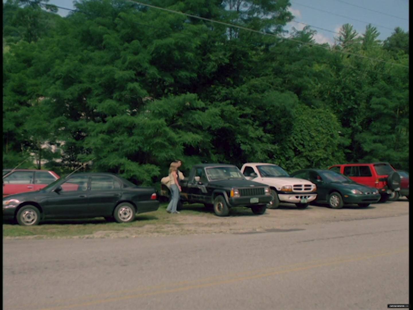 351.jpg