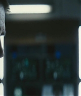 274.jpg