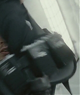294.jpg
