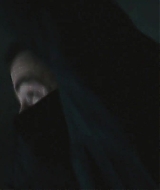 353.jpg