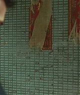 0250.jpg