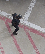 2579.jpg