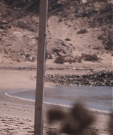 1315.jpg