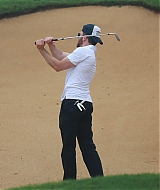 339.jpg