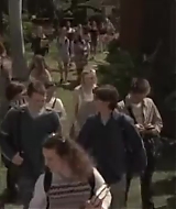 461.jpg